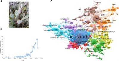 Opuntia ficus-indica (L.) Mill. - anticancer properties and phytochemicals: current trends and future perspectives